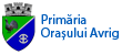 Primaria Avrig