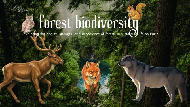 Proiect eTwinning Forest Biodiversity